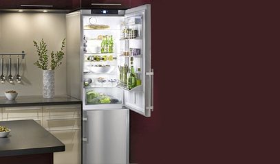 Choose an Energy Efficient Refrigerators