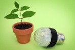 LED Light bulb next to a small potted plant