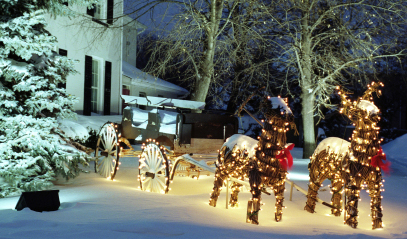 Select Energy Efficient Holiday Led Lights
