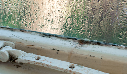 How to Recognize Signs of Energy Loss in Your Home